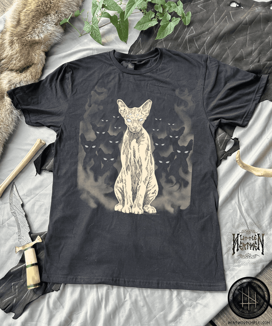 The feline form of Bastet in the foreground with her many eyes staring into your soul and from the mist behind her emerges an army of her feline companions piercing through the darkness and ever vigilant.